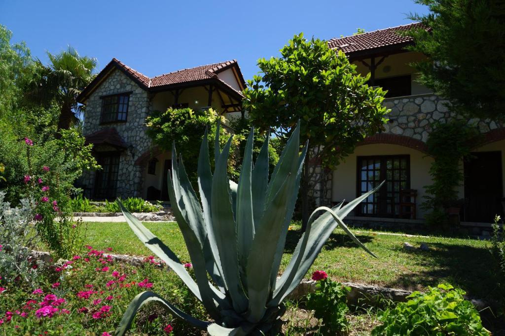 Mountain Lodge Doger Koyu Exterior foto